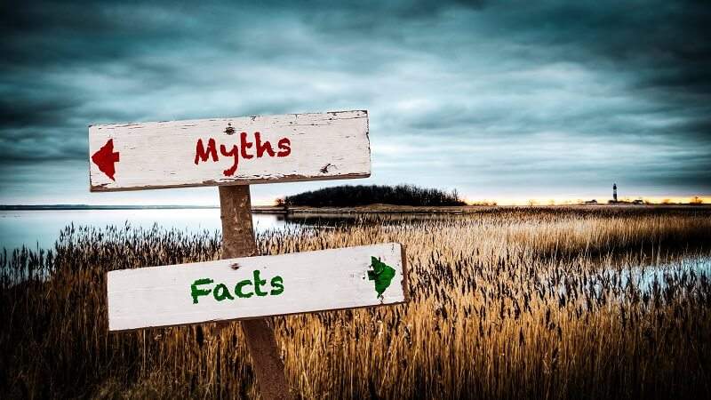 mity i fakty